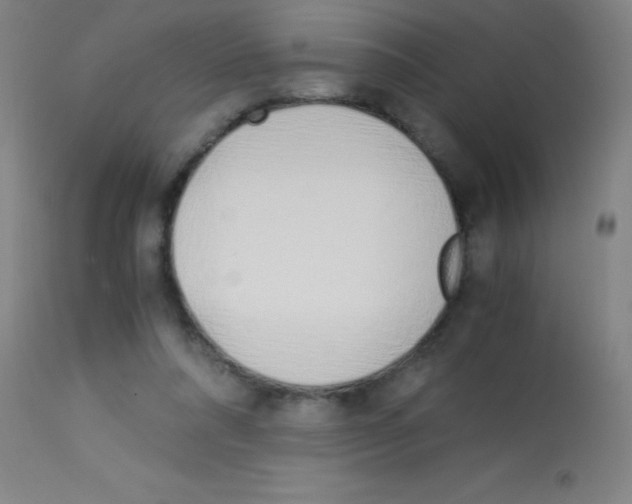 X0000113150304200910161226