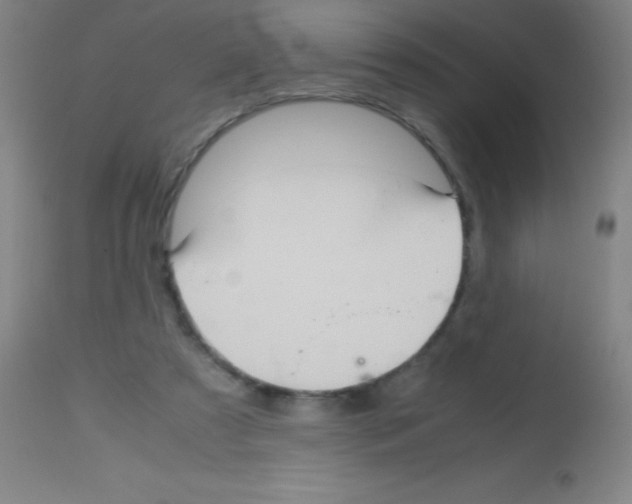 X0000113150305200910161226