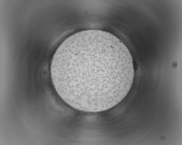 X0000113150306200910161226