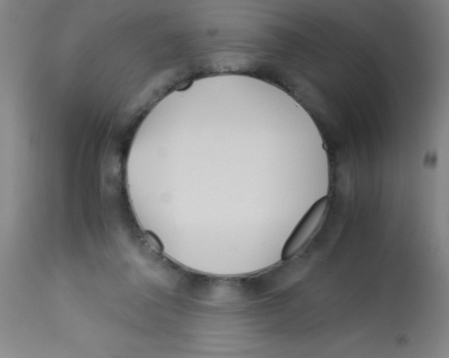 X0000113150308200910161226