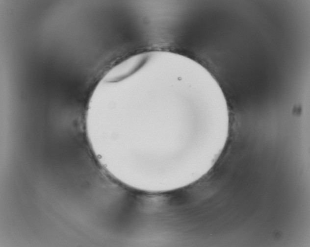 X0000113150313200910161226