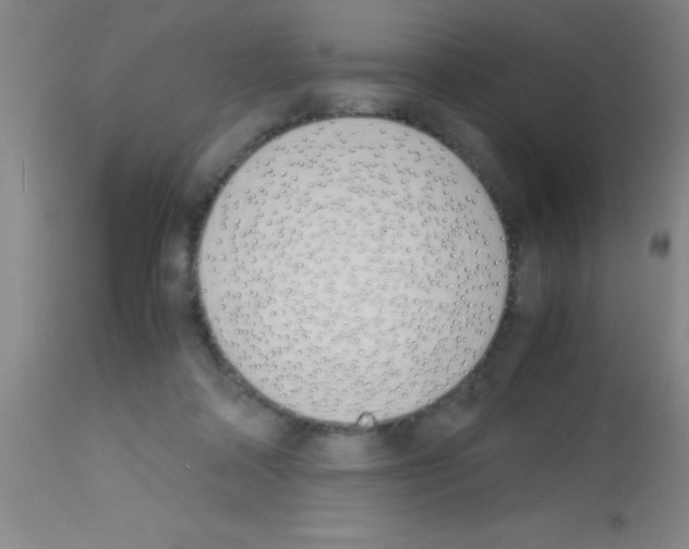 X0000113150314200910161226