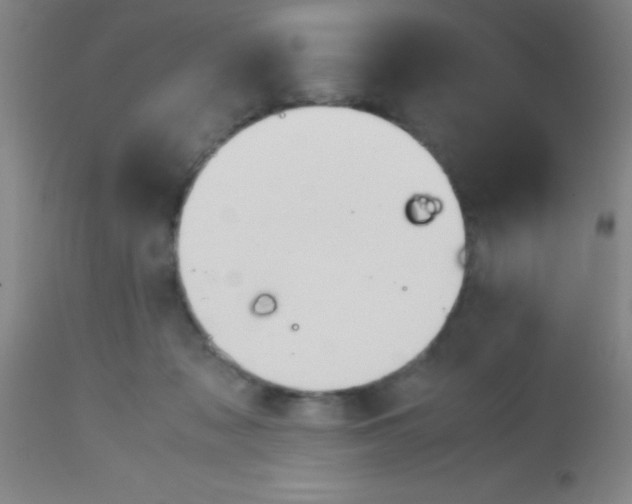 X0000113150317200910161226