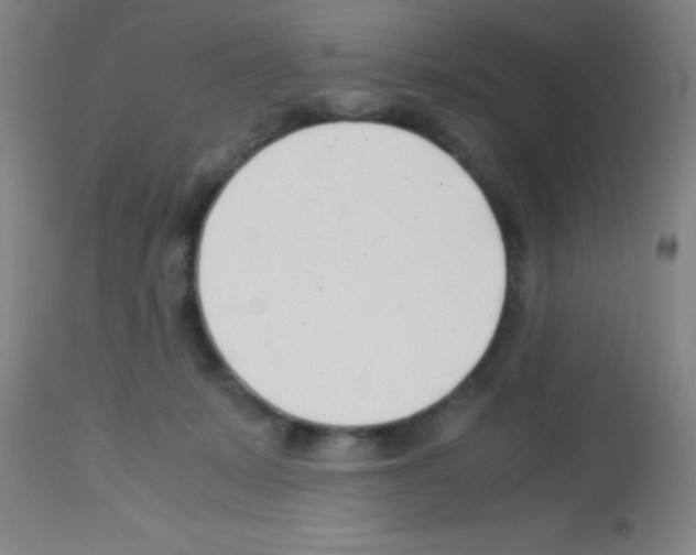 X0000113150319200910161226