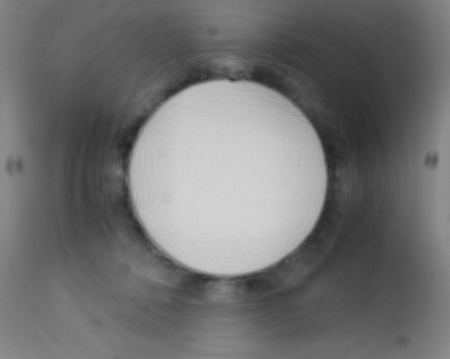 X0000113150320200910161226