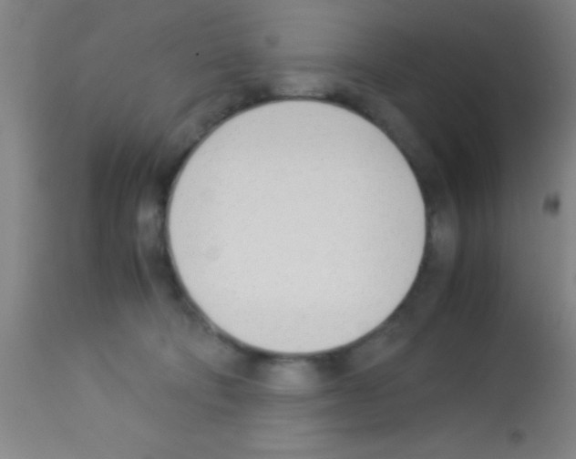 X0000113150322200910161226