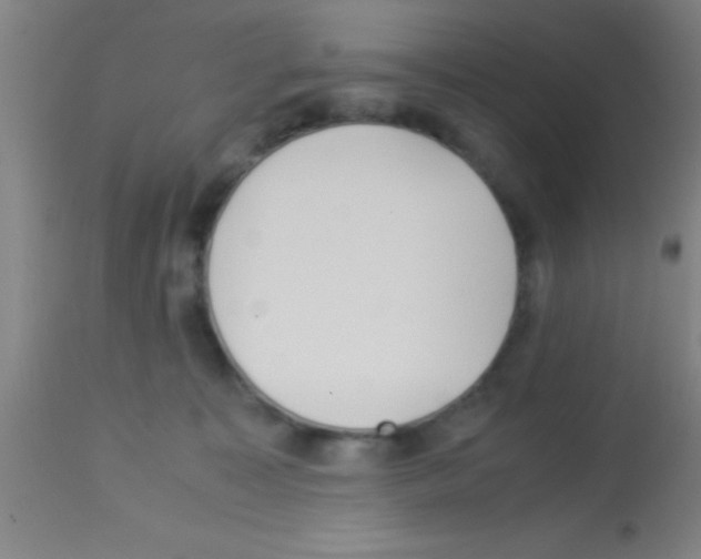 X0000113150323200910161226