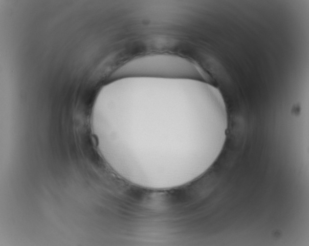 X0000113150324200910161226