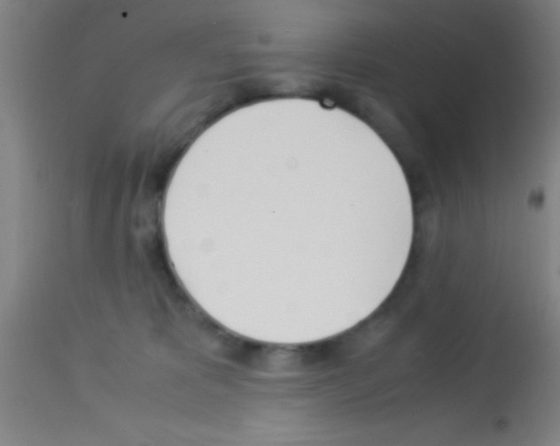 X0000113150325200910161226