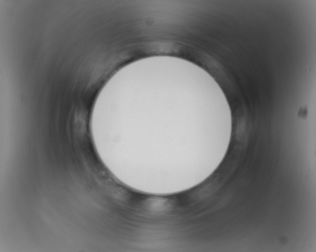 X0000113150326200910161226