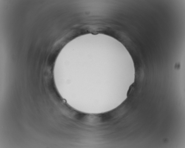 X0000113150327200910161226