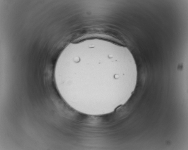 X0000113150328200910161226