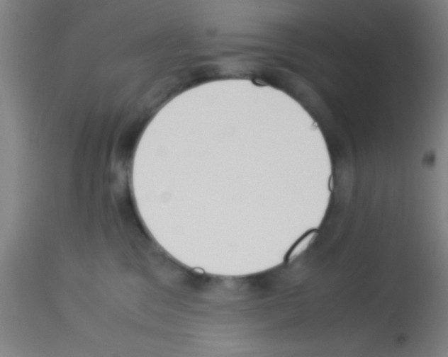 X0000113150329200910161226