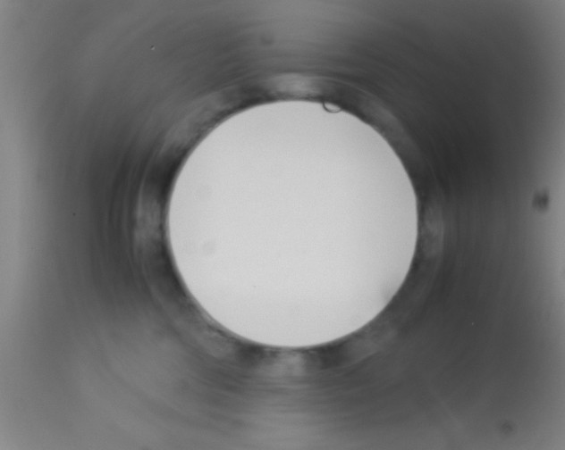 X0000113150330200910161226