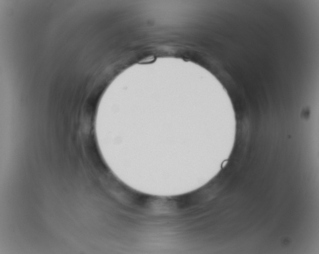 X0000113150331200910161226