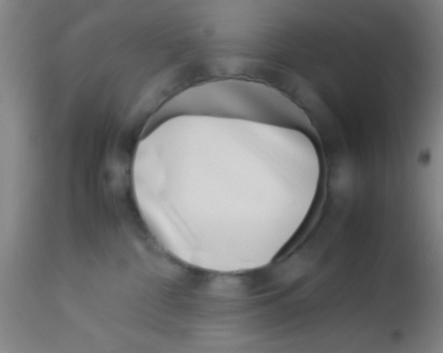 X0000113150332200910161226