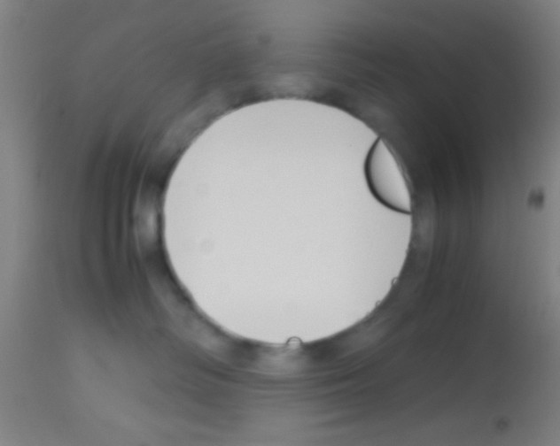 X0000113150334200910161226