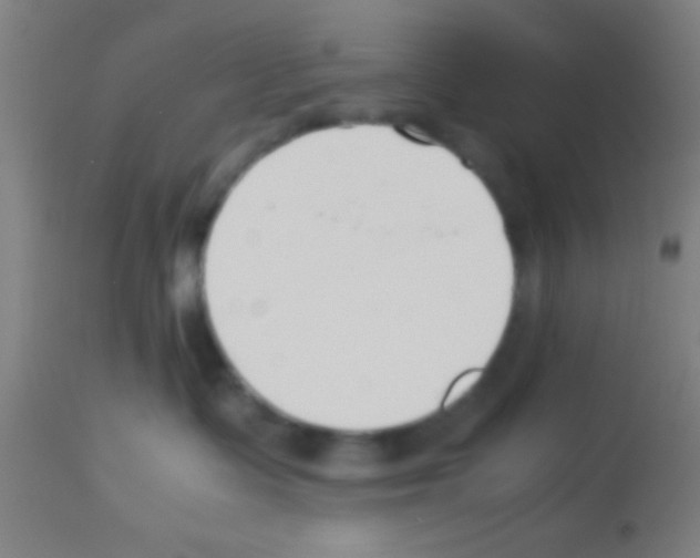 X0000113150335200910161226