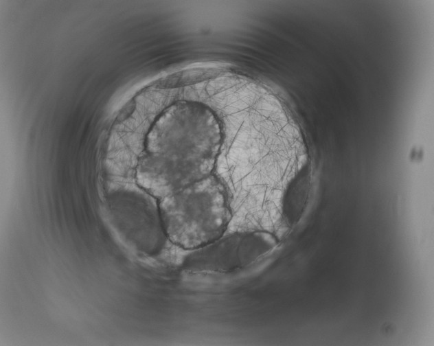 X0000113150337200910161225