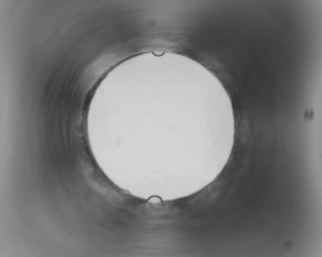 X0000113150338200910161225