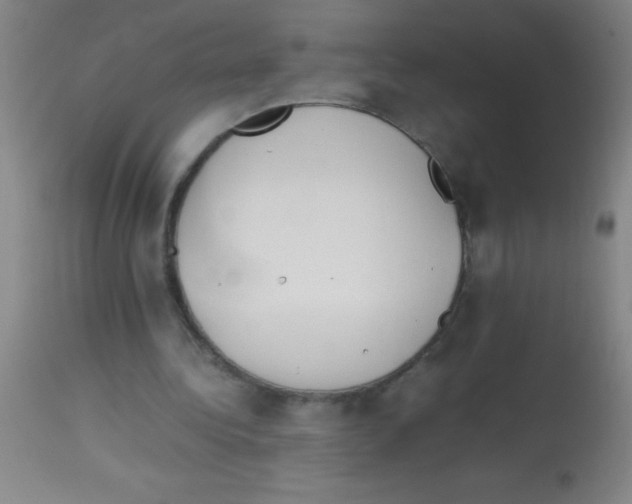 X0000113150340200910161225