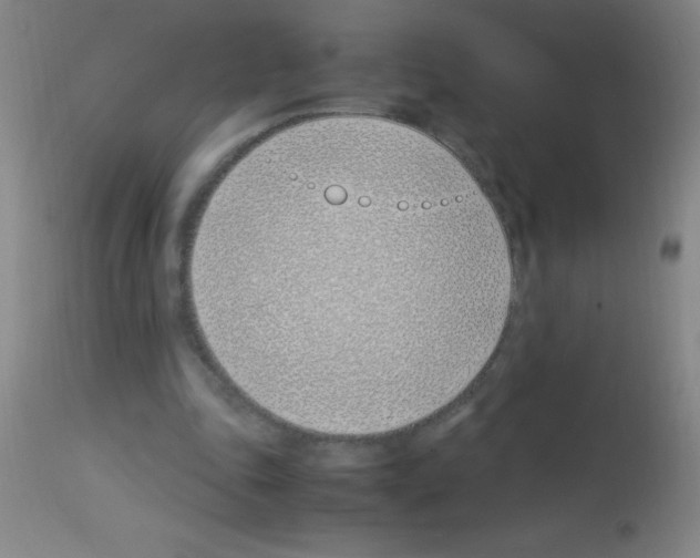 X0000113150343200910161225