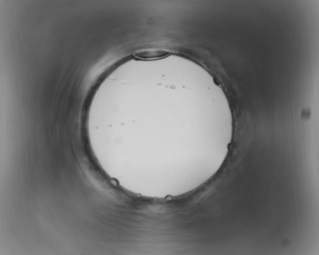 X0000113150344200910161225