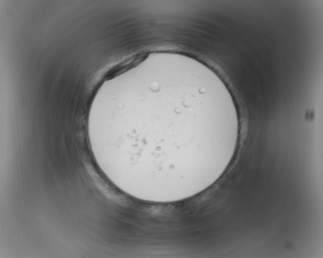 X0000113150345200910161225