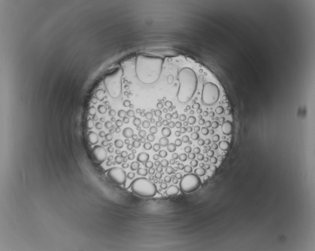 X0000113150346200910161225