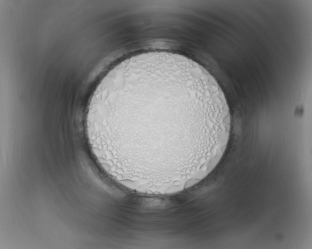 X0000113150347200910161225