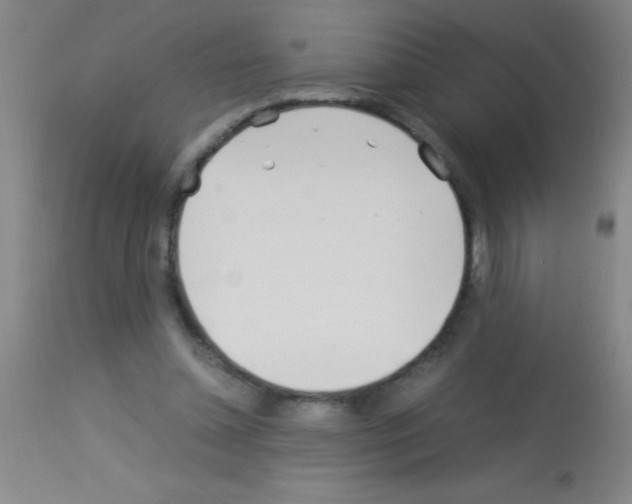 X0000113150348200910161225