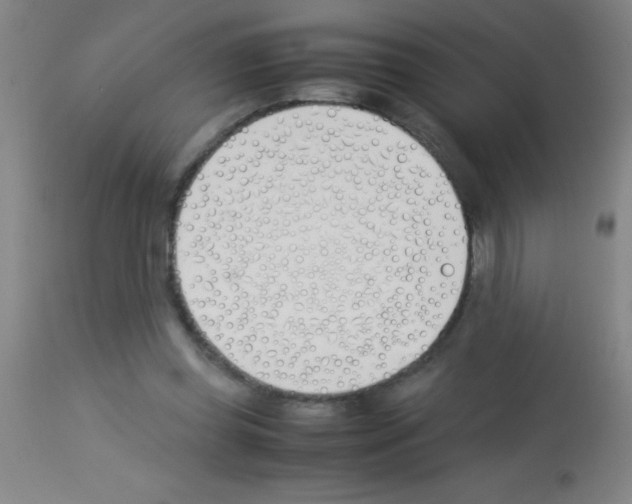 X0000113150349200910161225