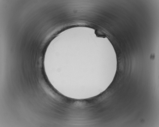 X0000113150350200910161225