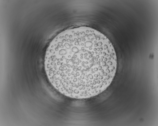 X0000113150354200910161226