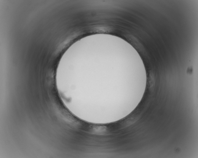 X0000113150355200910161226