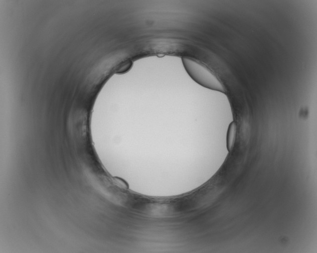 X0000113150356200910161226