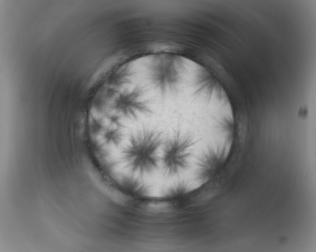 X0000113150357200910161226