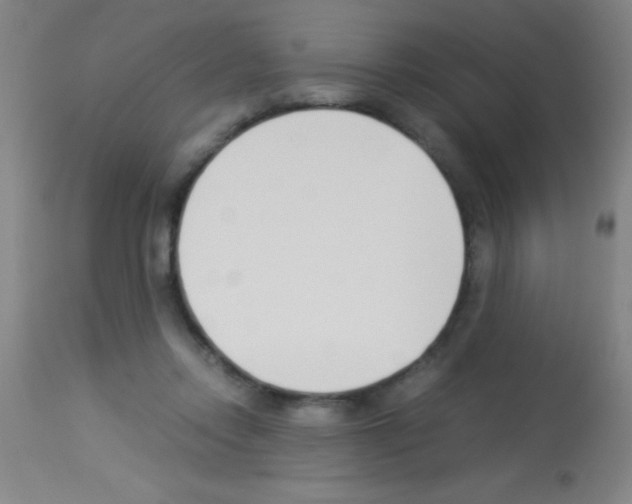 X0000113150358200910161226