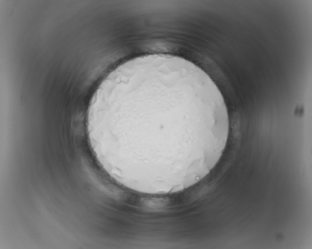 X0000113150359200910161226