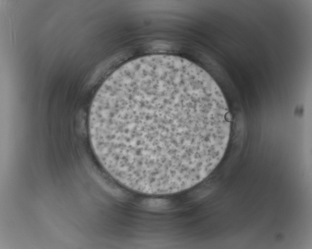 X0000113150361200910161226