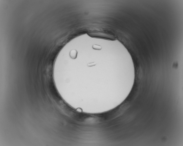 X0000113150364200910161226