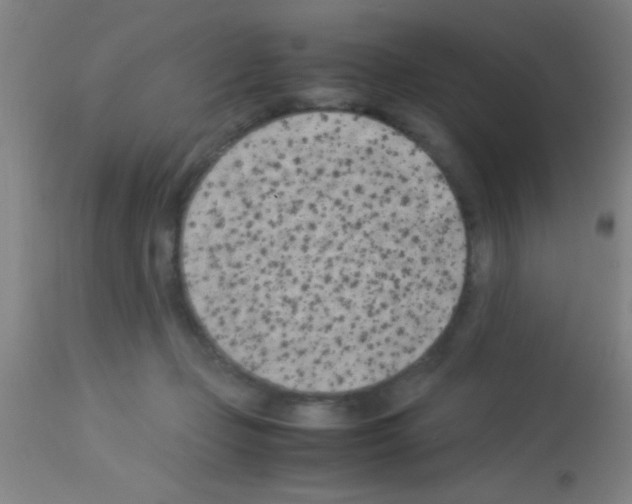 X0000113150365200910161226