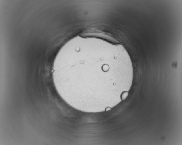 X0000113150368200910161226