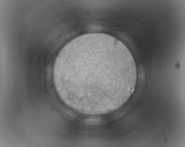 X0000113150369200910161226