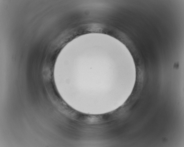 X0000113150370200910161226