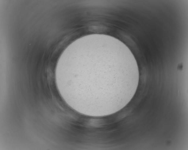 X0000113150371200910161226