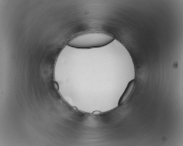 X0000113150372200910161226