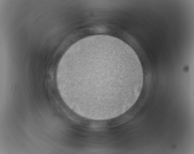 X0000113150373200910161226