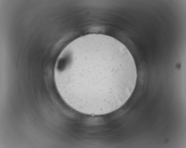 X0000113150375200910161226