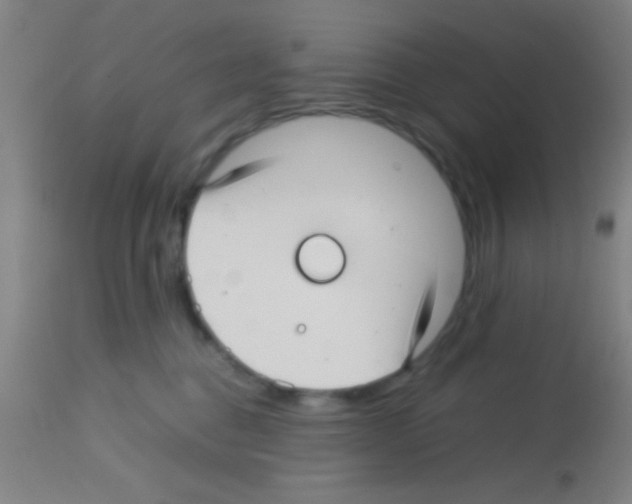 X0000113150376200910161226